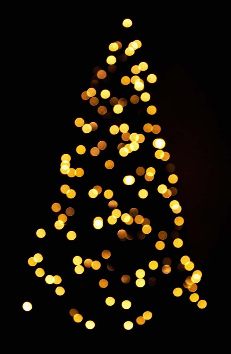 plant yellow lights on black background tree